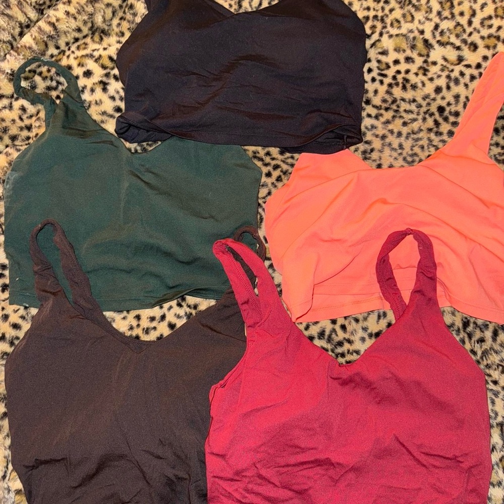 Aerie Set of 5 Colorful Bralettes